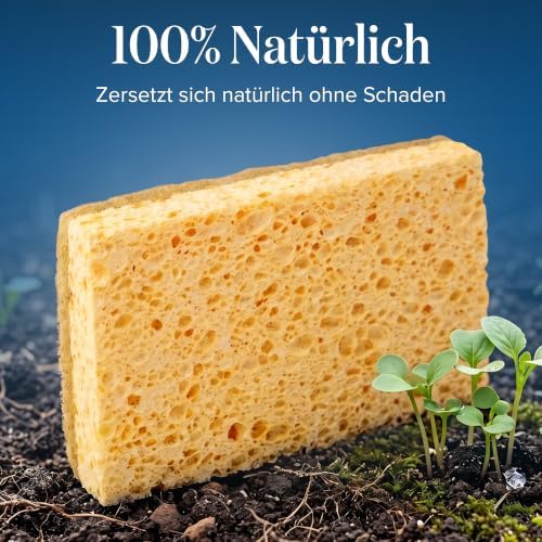 Joeji’s Eco Washing Up Sponges – 6 Pack Reusable Natural Cellulose Kitchen Sponges with Sisal Scourer – Biodegradable, Plastic-Free Dish Sponges for Washing Up, Eco Friendly Cleaning Products - Image 2