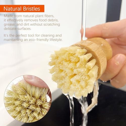 2pcs Wooden Dish Scrub Brushes for Kitchen, Eco-Friendly Cleaning Scrubbers, Natural Sisal Bristles for Dishes and Washing Cast Iron Pans - Image 4