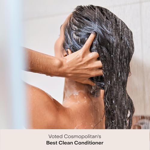 Everist The Haircare Travel Duo, The Shampoo Concentrate & The Deep Conditioning Concentrate, Deep Hydration and Smoothing, Aloe Vera, Paraben & Sulfate Free, Color-Safe, 2 x 0.7 fl oz Set - Image 4