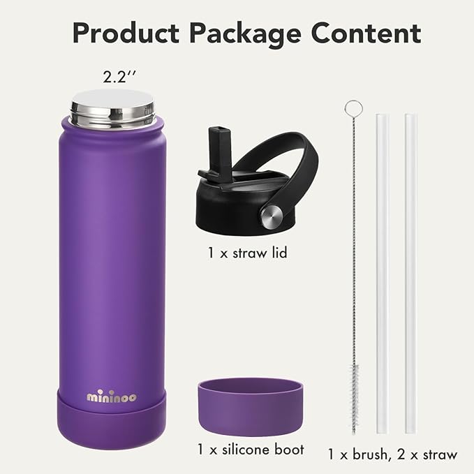 Insulated Stainless Steel Water Bottle with Straw, Ceramic-Lined, BPA-Free & Leak-Proof, 24 oz, Bright Violet