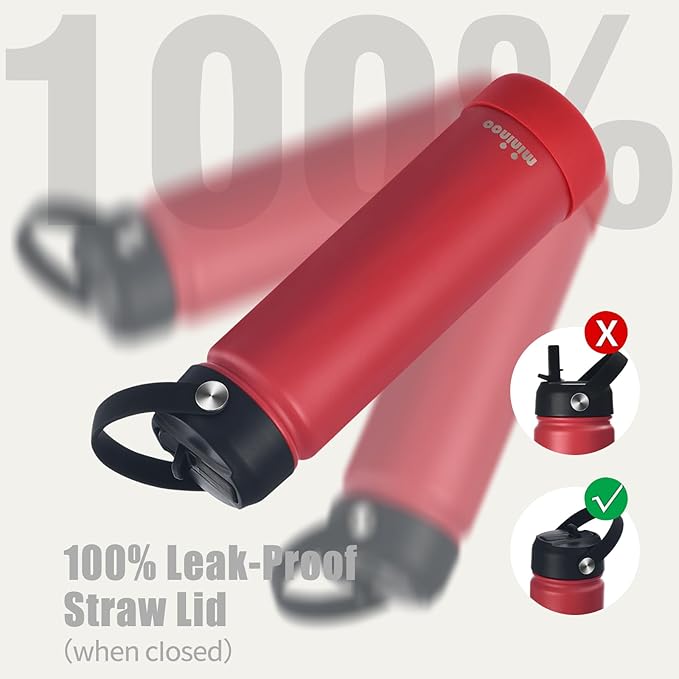 Mininoo Insulated Stainless Steel Water Bottle with Straw, Ceramic-Lined, BPA-Free & Leak-Proof, 24 oz, Red