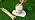 Citronella Candles Outdoor - 6 Pack Soy Wax Citronella Candles - Image 7