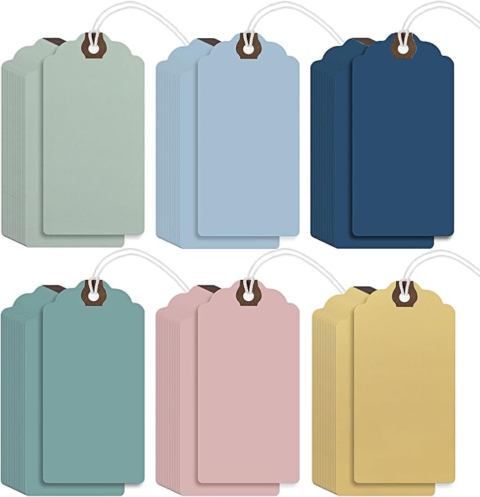 Outus 60 Pcs 4 3/4-in x 2 3/8-in Blank Large Paper Gift Tags with String and Reinforced Eyelet Wire Writable Price Tags Shipping Labels Inventory Labels(Pastel Color)