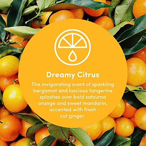 Clean Revolution Multi Surface Cleaner Refill Supply, Non-Toxic, Eco-Friendly & Plant-Based, Ready to Use, Dreamy Citrus, 128 Fl Oz (1 Gallon) - Image 3