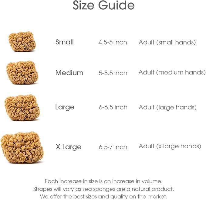 Naroa Massage Natural Shower Sponge X Large | Unbleached Body Scrubber Puff | Bath Sea Loofah for Healthy Skin | Sustainable Plastic Free