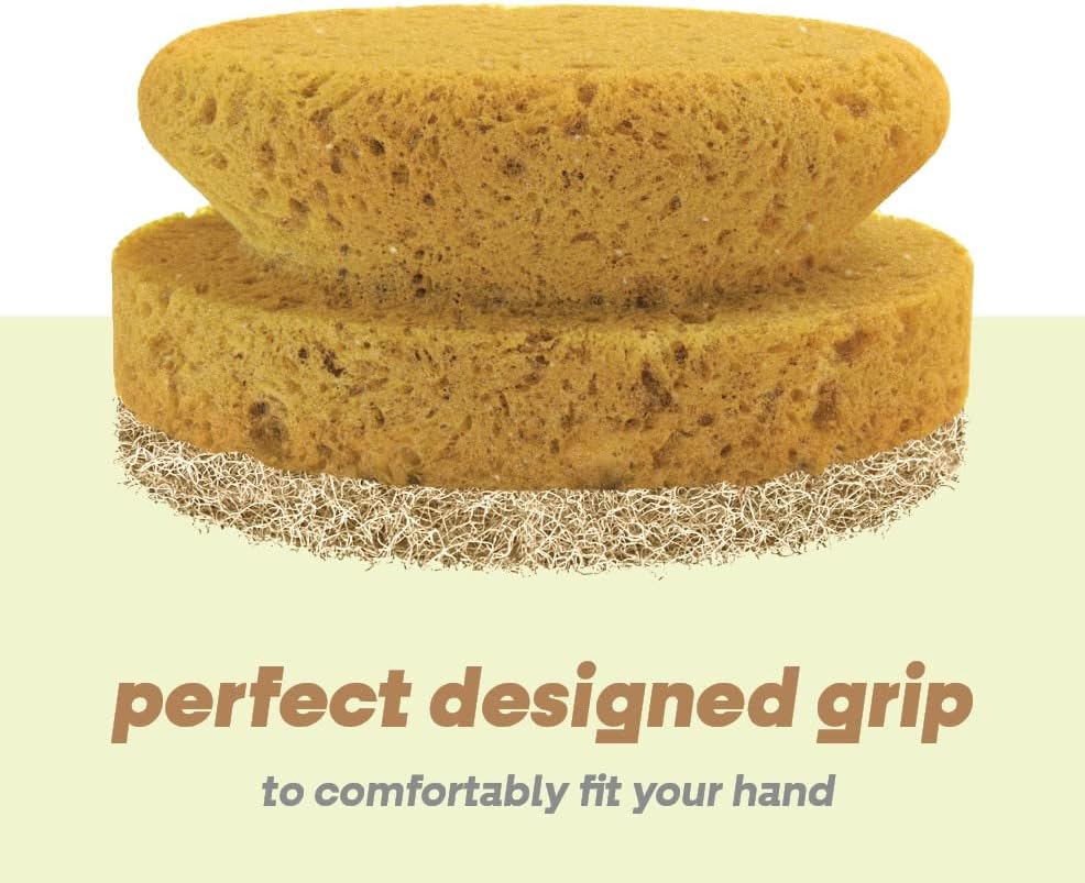 SCRUBIT Natural Scouring Pads, Eco Friendly Scrubbing Sponges for Kitchen Cleaning and Dishes, Non-Scratch Dish Scrubber with Easy-Grip Sponge Handle - Biodegradable - 2 Pack - Image 6