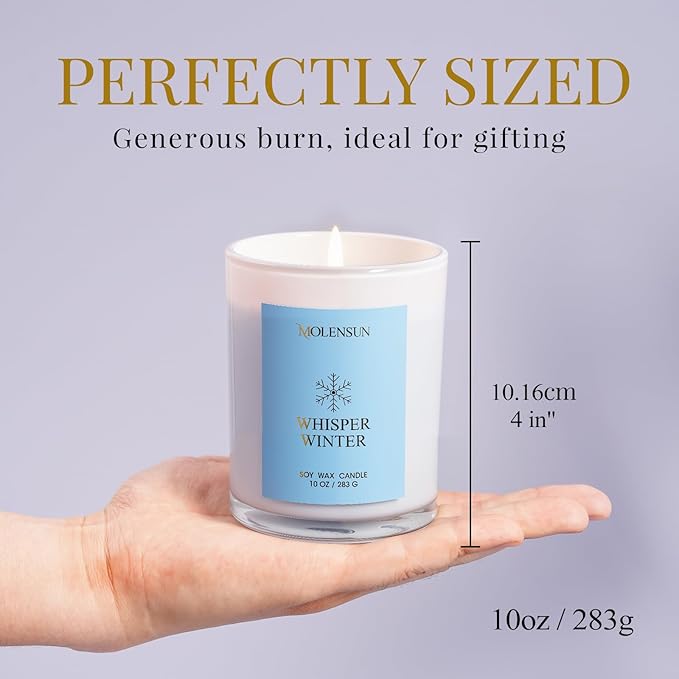 Whisper Winter Candle, 10oz Soy Scented Candle for Home, Christmas Birthday & Holiday Gifts for Women & Men, Long Lasting 50+ Hour Clean Non-Toxic Burn, Elegant Winter & Christmas Festive Home Decor