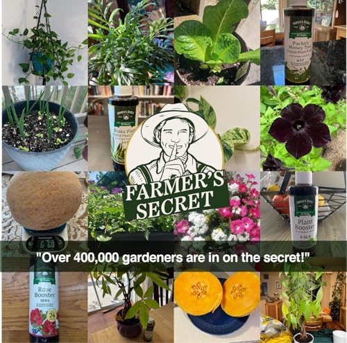 Farmer’s Secret Soil Revitalizer (8oz) - Organic (OMRI Listed) Beneficial Dirt Booster - Activated Humic Acid - Liquid Compost Soil Amendment - Image 6