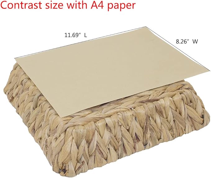 Grass Weaving Tray, Grass Storage Bins for Fruit or Tea,Arts and Crafts. (1) (Rectangle-2PCS)