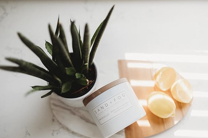 Sand + Fog Scented Candle - Winter Pine – Additional Scents and Sizes – 100% Cotton Lead-Free Wick - Luxury Air Freshening Jar Candles - Perfect Home Decor – 12oz - Holiday Scents