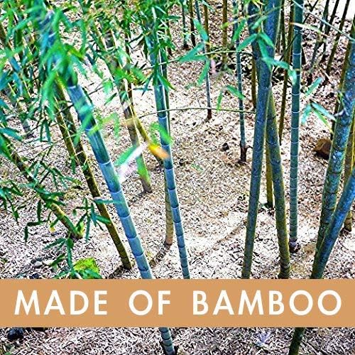 laboos Bamboo Manual Toothbrush, Soft Compact Bristle, Eco Friendly Biodegradable Wooden Toothbrush for Daily Use (4 Pack) - Image 5