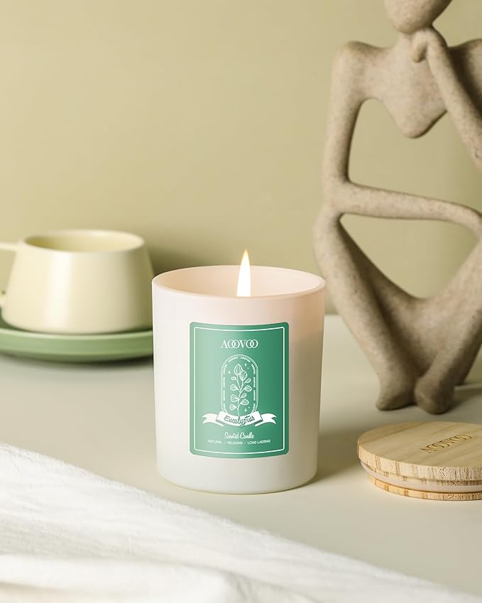 AOOVOO Eucalyptus Mint Scented Candles for Women - Aromatherapy Candle with Crystals Inside, 10oz Soy Candles for Home Scented, Birthday Gifts Christmas Candle for Women Mom