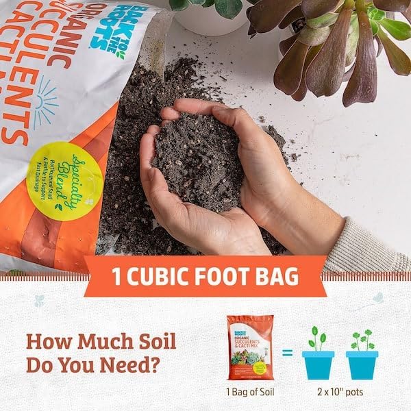 Back to the Roots 100% Organic Succulent & Cacti Mix (Value 25 Quart) | Made in the USA - Image 4