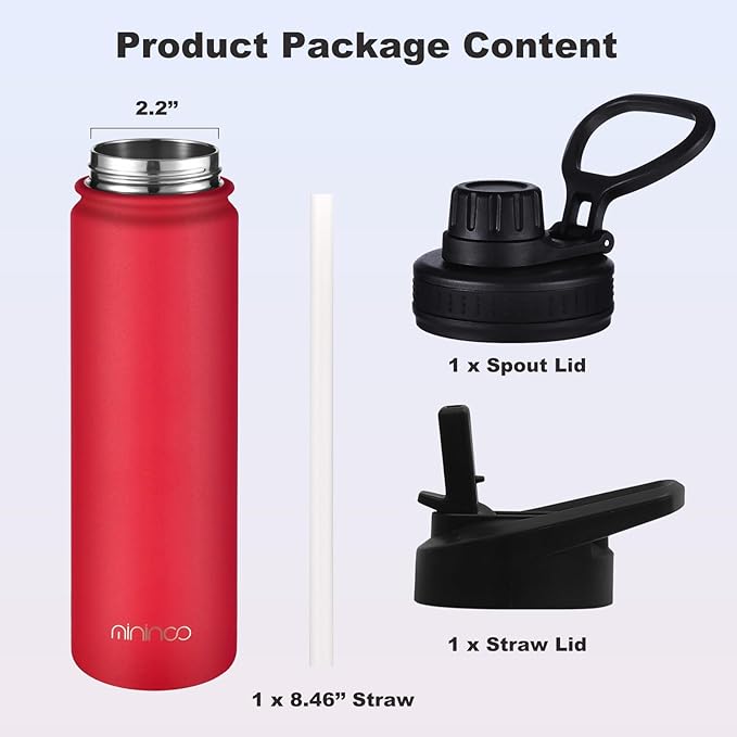 mininoo 24 oz Insulated Water Bottle with Straw Lid, Stainless Steel Double Wall Vacuum, Leak Proof, BPA Free, Keep Cold for 24H & Hot for 12H-2 pack(Red)