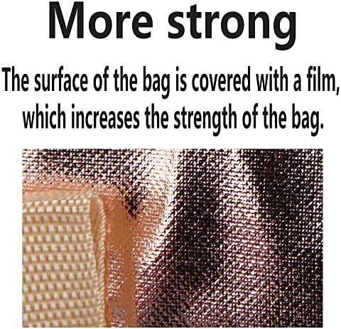 insulated picnic bag extra cooler Grocery shopping bags, Reusable, Heavy Duty, zipped zipper,Collapsible,tote,for men,women,for car,Recycled Golden XL-Large - Image 3