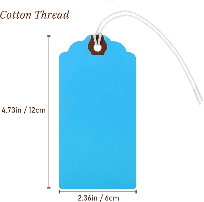 Outus 60 Pcs 4 3/4-in x 2 3/8-in Blank Large Paper Gift Tags with String and Reinforced Eyelet Wire Writable Price Tags Shipping Labels Inventory Labels(Rainbow Colors)