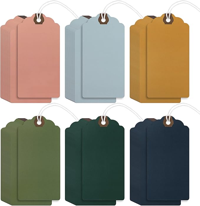Outus 60 Pcs 4 3/4-in x 2 3/8-in Blank Large Paper Gift Tags with String and Reinforced Eyelet Wire Writable Price Tags Shipping Labels Inventory Labels(Morandi Color)