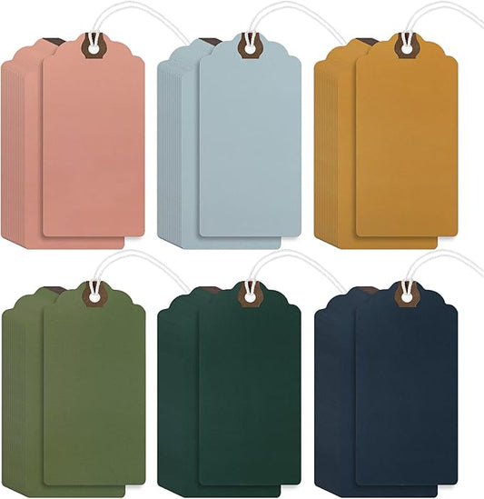 Outus 60 Pcs 4 3/4-in x 2 3/8-in Blank Large Paper Gift Tags with String and Reinforced Eyelet Wire Writable Price Tags Shipping Labels Inventory Labels(Morandi Color)