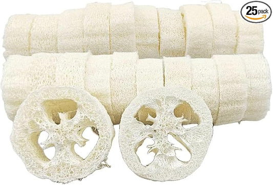 22PCS Natural Loofah Slices, Reusable Natural Loofah Cuts for Cleaner Sponge Scrubber, Facial Soap Holder and DIY Customize Soap Tools with 1 Storage Bag (Diameter 3.15In, Thick 1In)