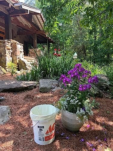 6-8 Gallon Compostable Trash Bags by BioBag, 45 Count, BPI Certified, Meets ASTM D6400 Standards, Made in USA, Medium Kitchen Bin Liners - Image 4