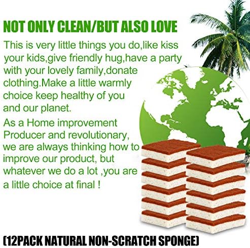 Natural Plant Based Scrub Sponge 12 Pack, Palm Fiber Scrubbing Sponge with Non Scratch Biodegradable Compostable Sponges,Long Lasting No Smell Dishwashing Kitchen Scrubber - Image 6