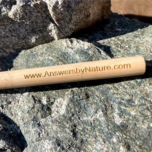 Adult Natural Bristle Toothbrush [4-Pack], Castor Bristles, 100% Biodegradable, Plant Based Bristles and Bamboo Handle - Image 5