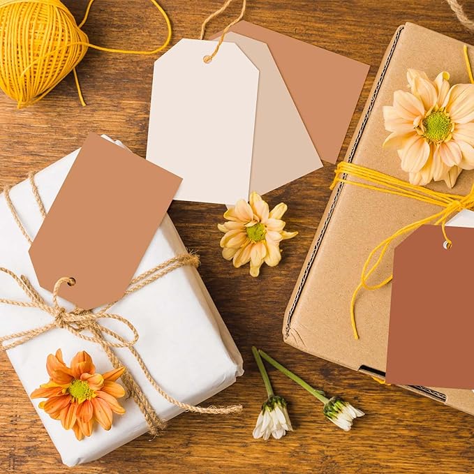Whaline 120Pcs Terracotta Fall Gift Tags 4 Gradient Solid Colors Hanging Labels with Hemp Rope Bulk Colorful Blank Paper Tags for Birthday Wedding Holiday Fall Party DIY Art Craft Supplies