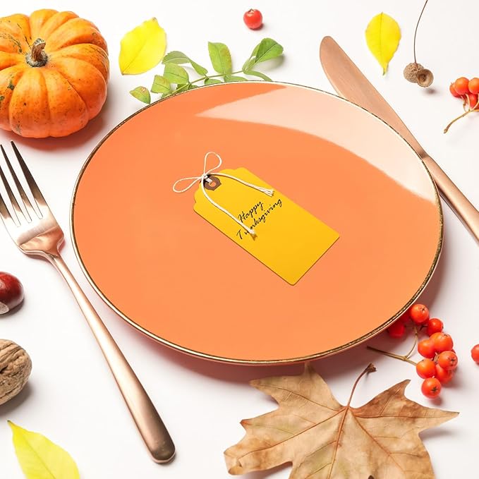 Outus 60 Pcs 4 3/4-in x 2 3/8-in Blank Large Paper Gift Tags with String and Reinforced Eyelet Wire Writable Price Tags Shipping Labels Inventory Labels(Orange)