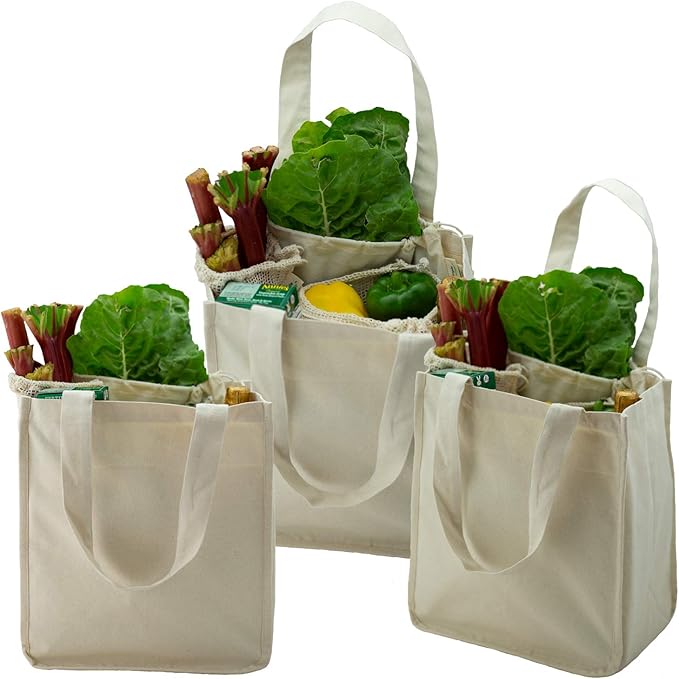 Simple Ecology Organic Cotton Deluxe Reusable Grocery Shopping Bag; Bottle Sleeves, Rigid Bottom Support (UPDATED DESIGN)