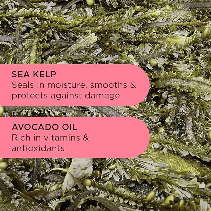 Noughty Wave Hello Curl Defining Large Shampoo (33.8fl.oz), Vitamin Rich Formula for Curly and Wavy Hair, 97% Natural Bulk Shampoo 33.8 oz, Sulfate Free, Vegan