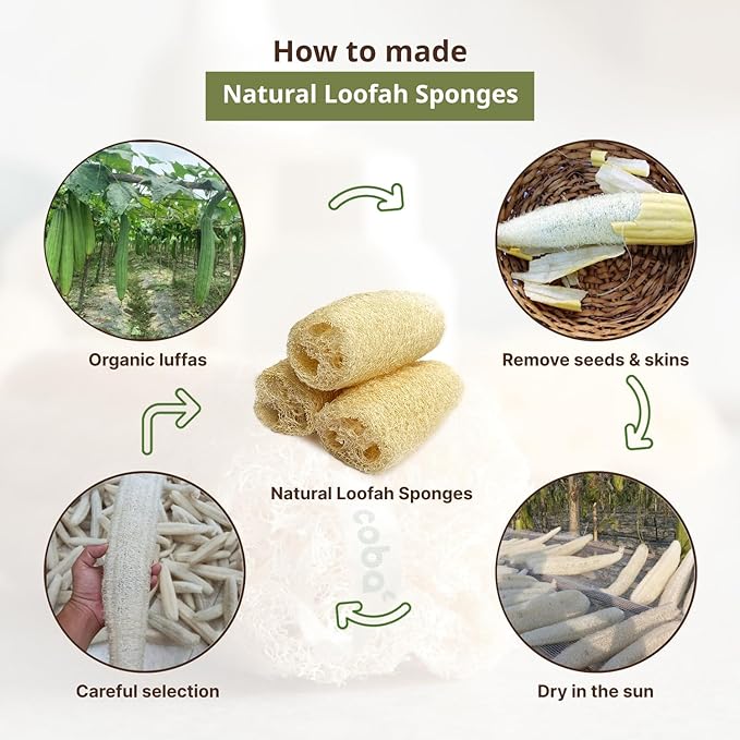 Natural Loofah Sponge – Shower Loofah Exfoliating Body Scrubber for Women & Men | Multi-Use Sponge for Shower, Spa, Kitchen, Pet | 100% Natural, Dye-Free, Eco-Friendly | Pack of 4