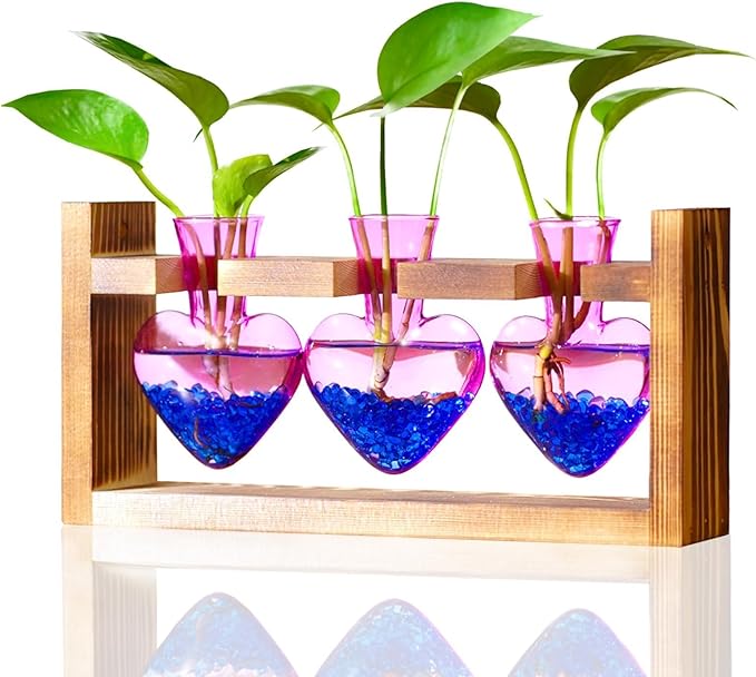 Nacome Plant Terrarium Propagation Stations: Air Planter 3 Bulb Glass Heart Shaped Vase with Wooden Stand for Hydroponics Home Office Decor - Christmas Gifts for Plant Lovers Women Mom Wife(Purple)