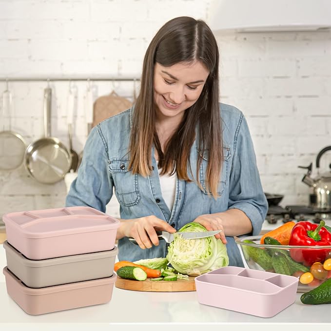 Honeydak 4 Pcs Silicone Bento Box Reusable Lunch Container 4 Compartment Snack Boxes with Lid Smooth LeakProof Rectangle Food Boxes for Adult Work Travel Food Storage (Gentle Color)