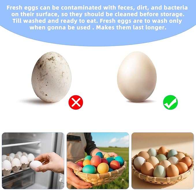 Electric Egg Cleaner Brush – Egg Washer for Fresh Eggs & Vegetable Brush with Battery Level Display,2 Speed Settings,3 Replaceable Heads,IPX7 Waterproof,Ideal for Tough-Skinned Vegetables