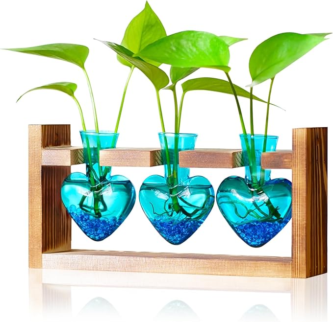 Nacome Plant Terrarium Propagation Stations: Air Planter 3 Bulb Glass Heart Shaped Vase with Wooden Stand for Hydroponics Home Office Decor - Christmas Gifts for Plant Lovers Women Mom Wife