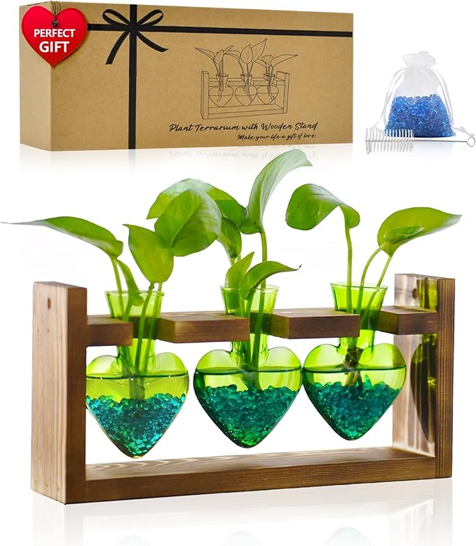 Nacome Plant Terrarium Propagation Stations: Air Planter 3 Bulb Glass Heart Shaped Vase with Wooden Stand for Hydroponics Home Office Decor - Christmas Gifts for Plant Lovers Women Mom Wife(Green)