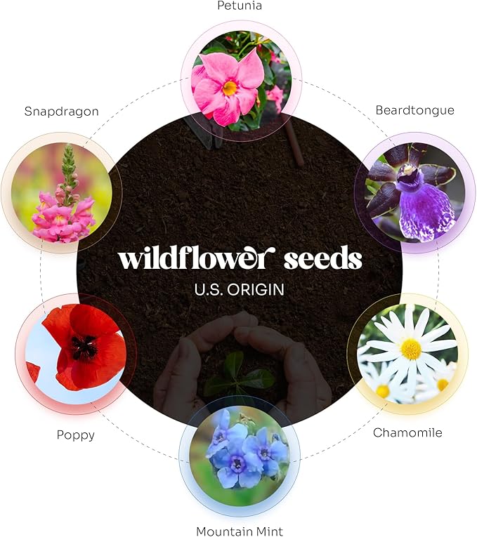 Thank You Set Greeting Card – Plantable Wildflower Seed Paper for Gifts, Special Events Like Mother's Day, and Other Milestone Celebrations