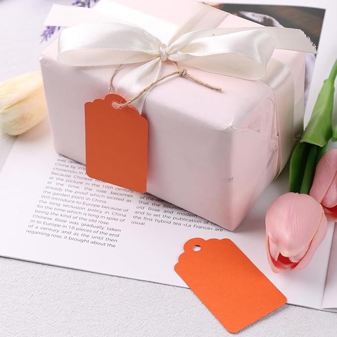 SallyFashion 120PCS Gift Tags - Orange Hanging Tags for Gifts, DIY Wedding, Birthday