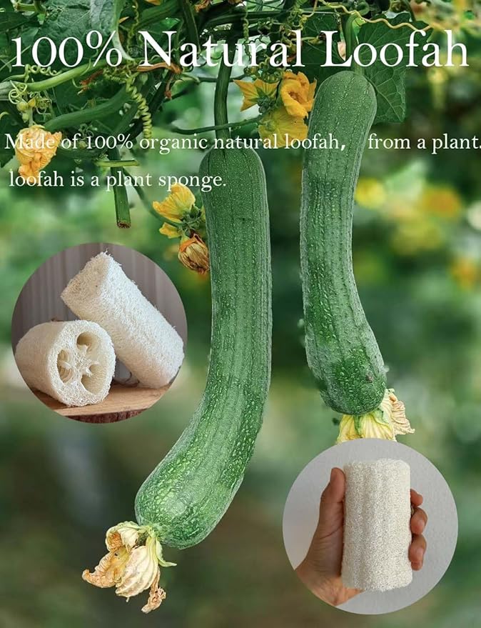 4" Natural Loofah Exfoliating Body and Face Sponge for Skin Care in Bath Spa Shower - Pack of 24 Eco-Friendly Biodegradable Luffa Scrubber