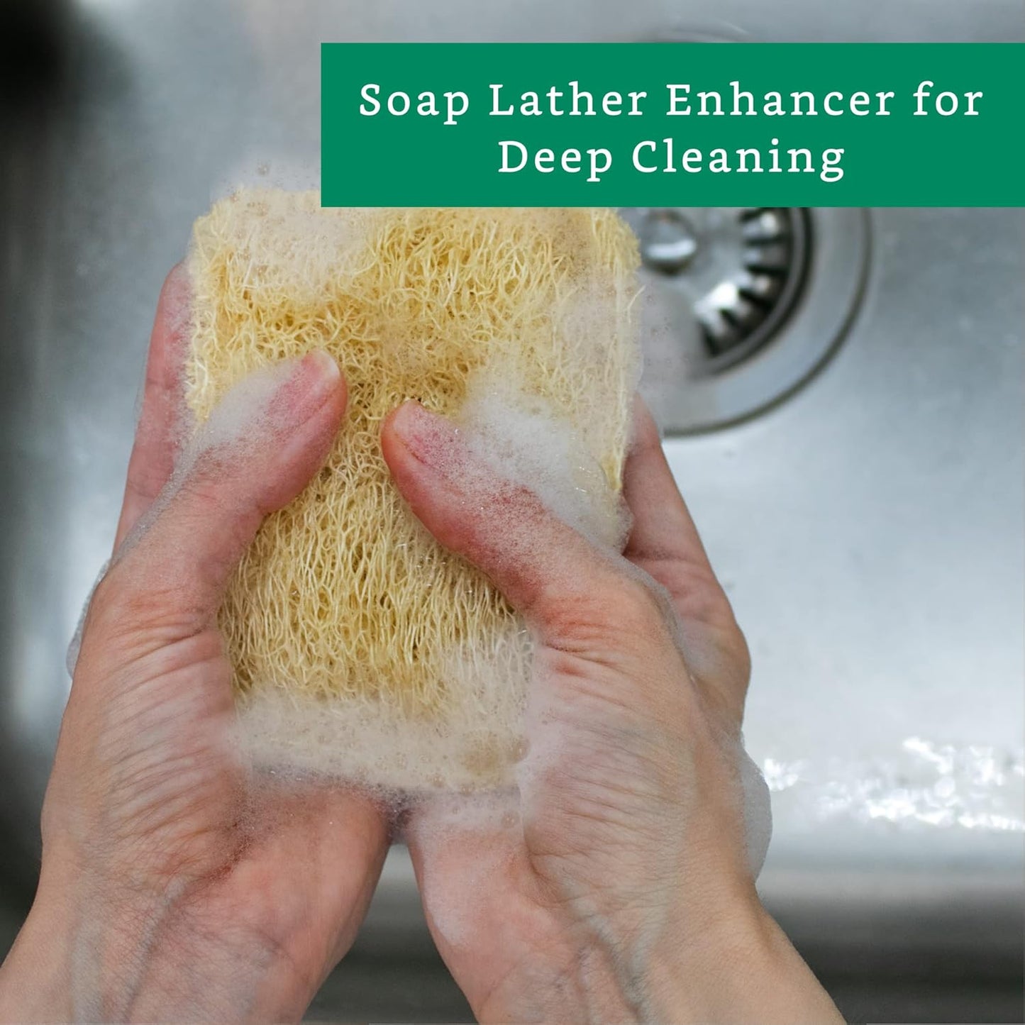 Natural Loofah Kitchen Sponge (3 Pack + 10 Pack Single Layer) - Natural Sponges for Dishes - Eco Friendly and Compostable Sponges - Plant Based Kitchen Dish Biodegradable Sponge