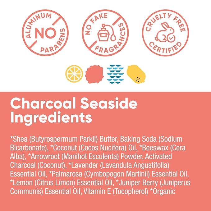 Pretty Frank Natural Aluminum-Free Deodorant Stick, Charcoal Seaside (2-Pack) | All-Day Odor Control for Women & Men | Effective, Safe, Organic Ingredients, Added Charcoal and Essential Oils