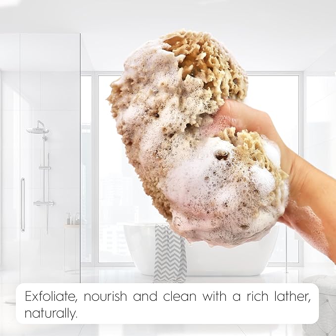Naroa Exfoliating Natural Sponge for Shower | Bath Sea Loofah for Healthy Skin | Unbleached Bathing Body Scrubber Puff | Sustainable Plastic Free (Small)