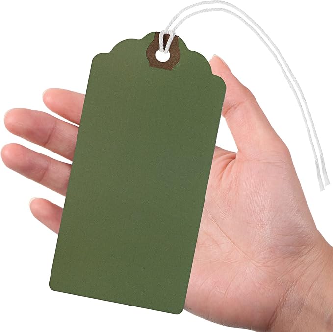 Outus 60 Pcs 4 3/4-in x 2 3/8-in Blank Large Paper Gift Tags with String and Reinforced Eyelet Wire Writable Price Tags Shipping Labels Inventory Labels(Morandi Color)