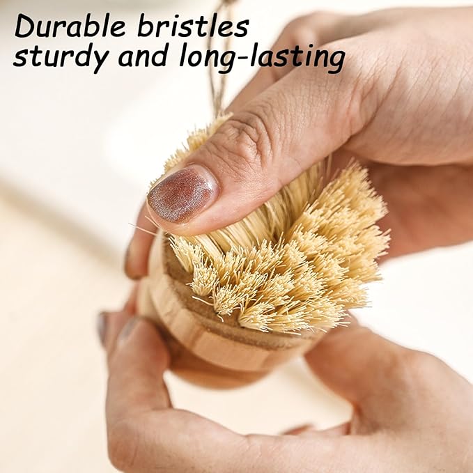 2 PCS Potato Brush, Vegetable Scrubber Brush for Food, Compact Kitchen Brush for Potatoes, Carrots and Fruits, Effortless Cleaning with Sturdy Bristles, Ideal for Home Cooks and Chefs