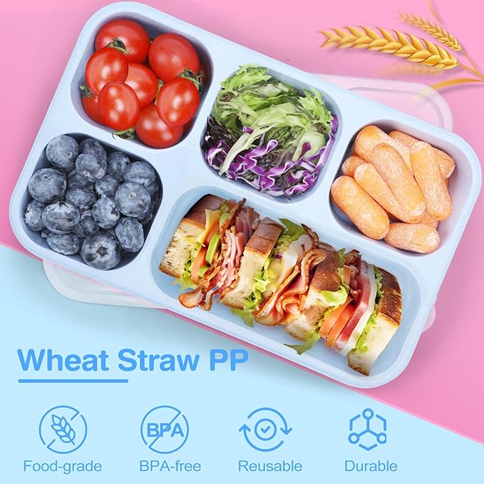 Bento Box Adult [Portion Size], 3 Pack Snack Containers with 5 Compartments for Meal Prep & On-the-Go [Work, Travel], Lunchable Container Reusable and BPA-Free