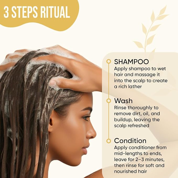 DEL SUR Frizz Control Shampoo and Conditioner Set | 16 fl oz Each | with Camellia Japonica, Shea Butter & Avocado Oil | Smoothing & Anti Frizz for Curly, Wavy & Straight Hair