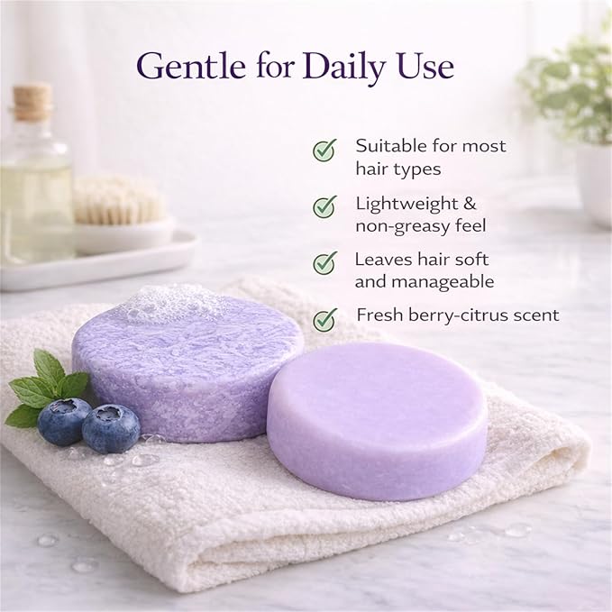 Blueberry Fields Shampoo & Conditioner Bar Bundle, Solid Hair Care Bars with Blueberry Extract, Shea Butter & Orange Essential Oil, Helps Reduce Breakage, Tame Frizz & Support Scalp Health (1, Set)