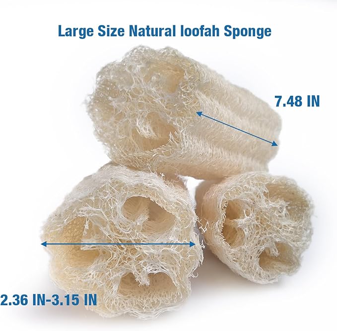 Large Size Natural Loofah Sponge, 3-Pack Loofah Sponges, Natural Body Scrubber for Men and Women, Non Toxic Loofa for Dishwashing