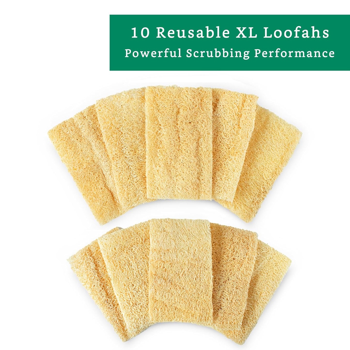 Natural Loofah Kitchen Sponge (3 Pack + 10 Pack Single Layer) - Natural Sponges for Dishes - Eco Friendly and Compostable Sponges - Plant Based Kitchen Dish Biodegradable Sponge