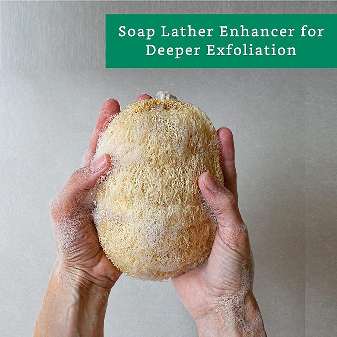 Natural Loofah Exfoliating Sponge (4 Pack) - Organic Body Scrubber - Biodegradable Shower Luffa